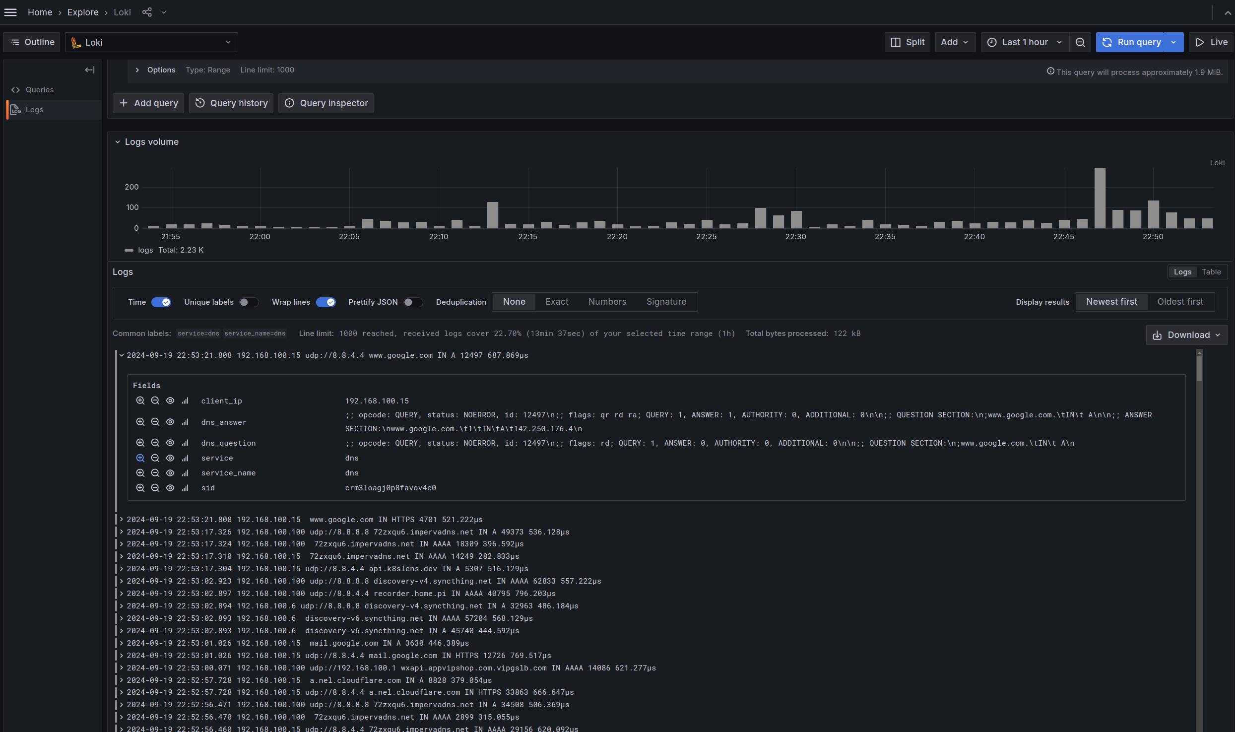 Loki - DNS